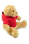 Teddy Hoodie