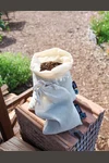 Cotton Bag With Drawstrings (5 Pieces)