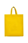 Lake Bag