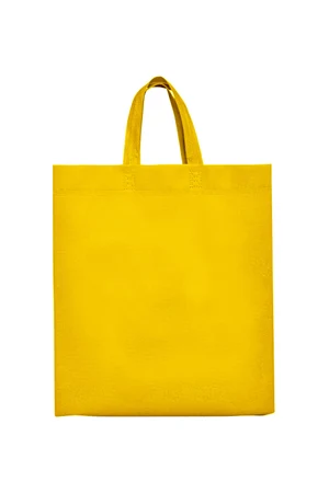 Lake Bag