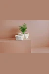 Reversible Canvas Organiser