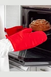 Oven Mitt