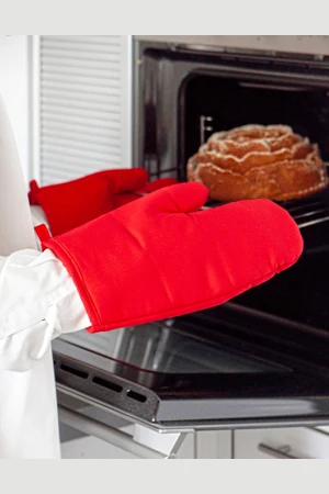 Oven Mitt