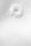 Urban Cap White
