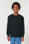 Das Iconic Kinder-Sweatshirt