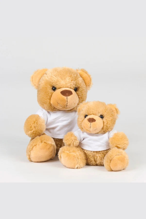 Teddy bear with t-shirt