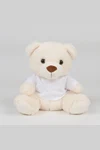 Teddy bear with t-shirt