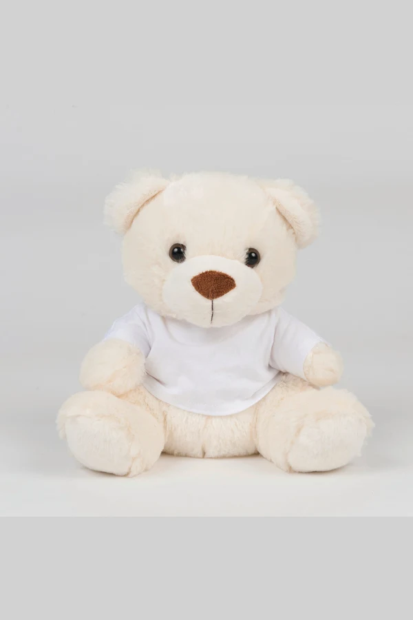 Teddy bear with t-shirt