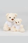 Teddy bear with t-shirt