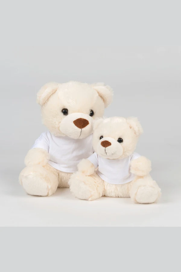 Teddy bear with t-shirt