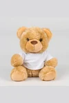 Teddybär mit T-Shirt