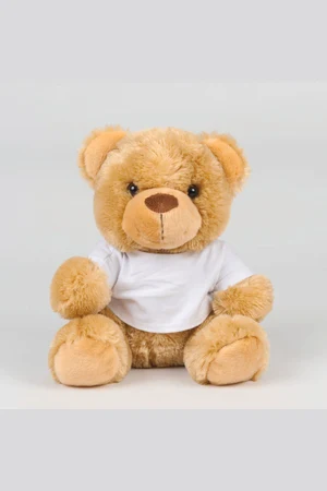 Teddybär mit T-Shirt
