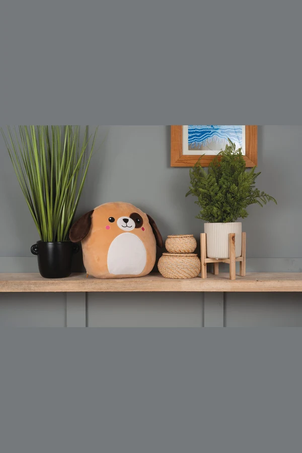 Squidgy's Cuddly Toys