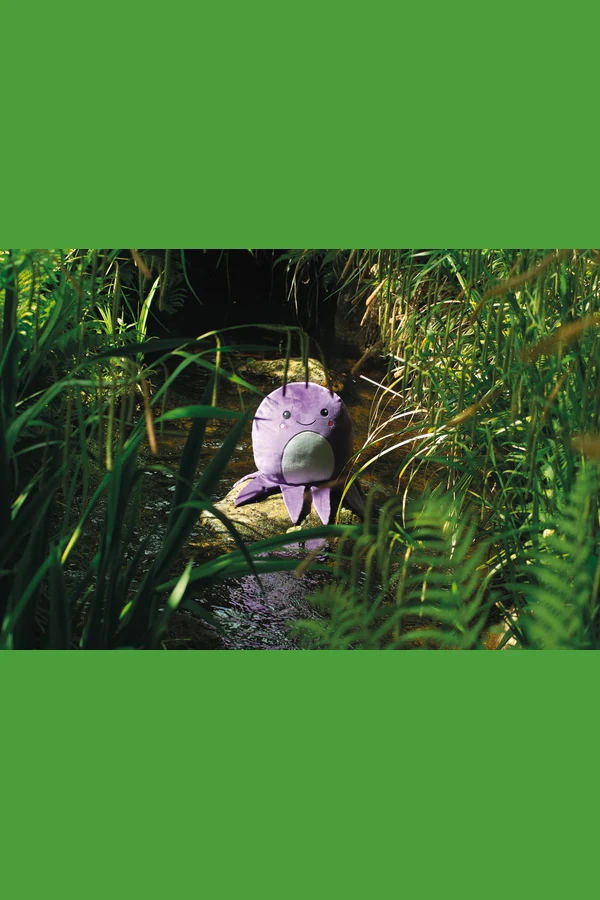 Squidgy's Cuddly Toys