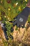 Touchscreen-kompatible und schnittfeste Schutzhandschuhe