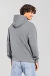 Kapuzen-Sweatshirt Iconic 250