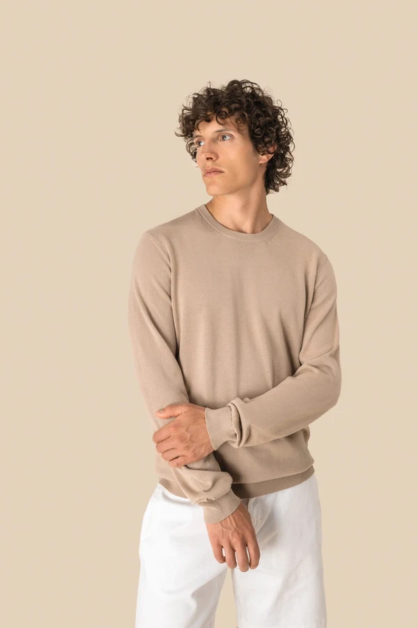 Umweltfreundlicher Herrenpullover mit Rundhalsausschnitt