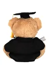 Graduation Bear Brown