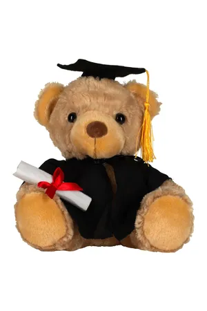 Graduation Bear Brown