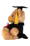 Graduation Bear Brown