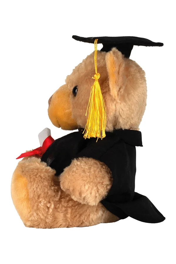 Graduation Bear Brown