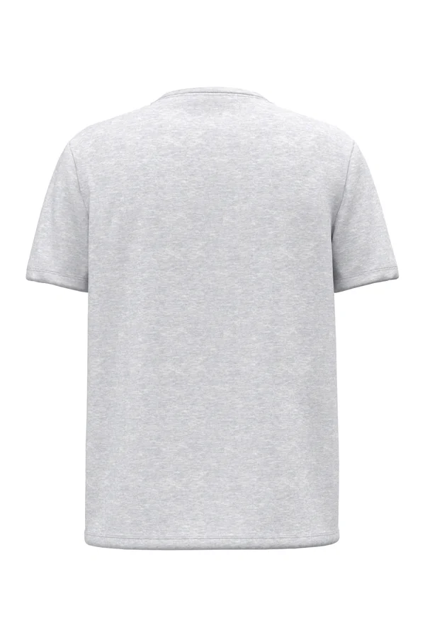 Herren-T-Shirt Bio 150 mit V-Ausschnitt Ash Heather