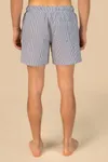 Umweltfreundliche gestreifte Badeshorts für Herren White / Navy Blue Stripes