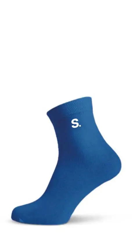 Classic Sock Quater img