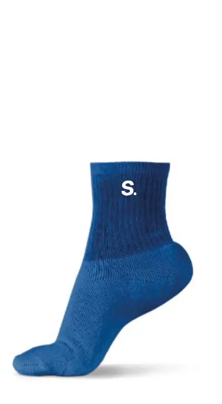 Sport Sock Quater img